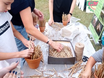 Eko-Piknik w Krainie Czarnego Bzu – relacja, 